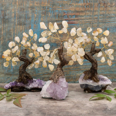 Citrine Crystal Tree