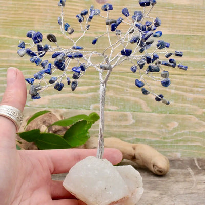 Sodalite Crystal Tree with Zeolite Base