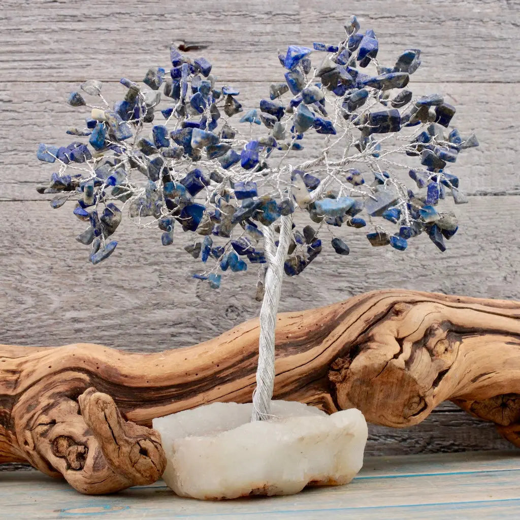 Sodalite Crystal Tree with Zeolite Base