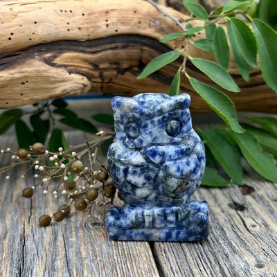 Sodalite Owl