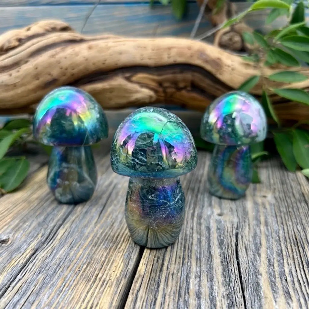 Moss Agate Angel Aura Mushrooms