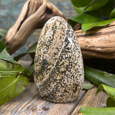 Ocean Jasper Freeform