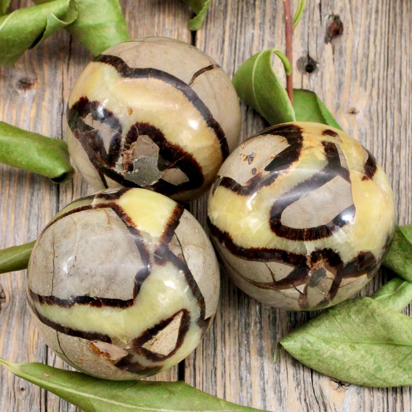 Septarian Sphere A
