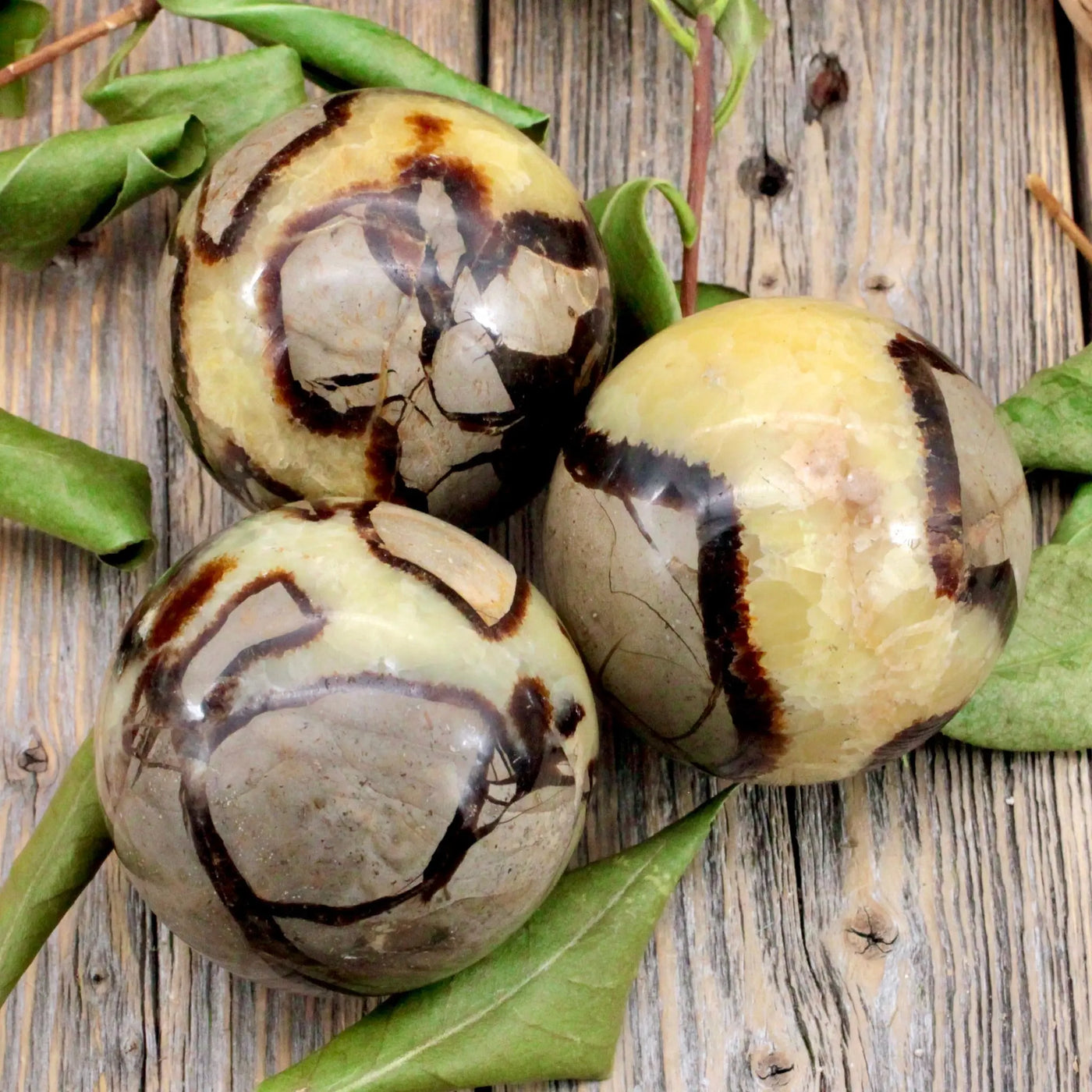 Septarian Sphere B