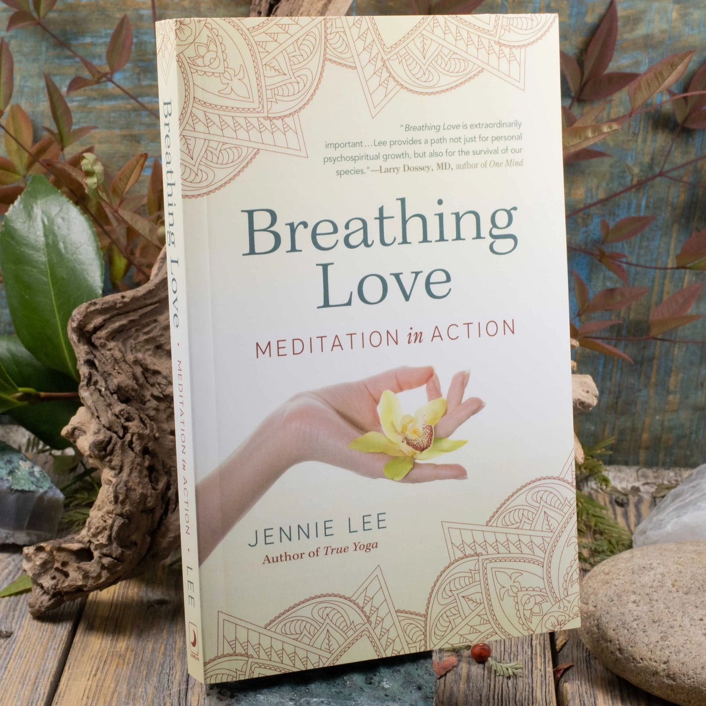 Breathing Love: Meditation in Action
